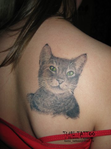 Фото, значение в магии татуировки " Кот. Кошка. Котенок. " X_9353907e